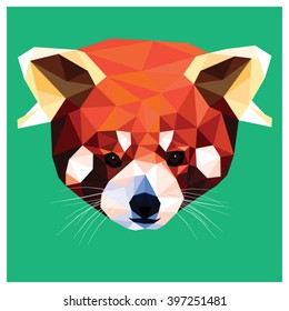 Red Panda colorful low poly design isolated on green background. Animal portrait card.