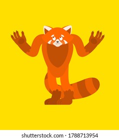 Red panda confused. Wild animal is perplexed emotions. Beast surprise. Vector illustration