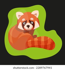 The red panda, a cub, is a rare emotional and beautiful animal. Vector