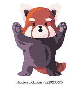 Red panda cute adorable face looking like fox pose like bear say hello animal fluffy fur