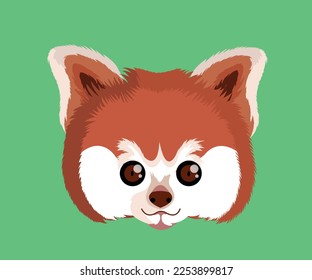 red panda drawing in vector