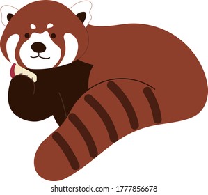 Red panda eating an apple. Vector illustration isolated on white background.
