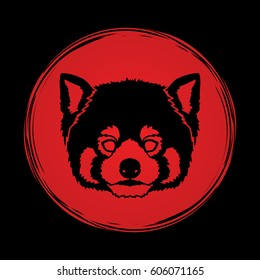 Red Panda Face head designed on sunlight background graphic vector.