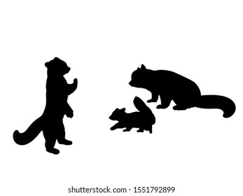 Red Panda family. Silhouettes of animals. Vector illustrator
