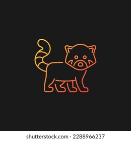 Red panda gradient vector icon for dark theme. Wildlife protection in Nepal. Endangered species. Lesser panda. Thin line color symbol. Modern style pictogram. Vector isolated outline drawing