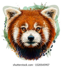 Red Panda. Graphic, color, hand-drawn portrait of a Red Panda on a white background in watercolor style.