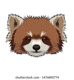 Red panda head isolated on a white background. Vector graphics.