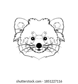 The red panda head. Line drawing. Black and white illustration. Vector.