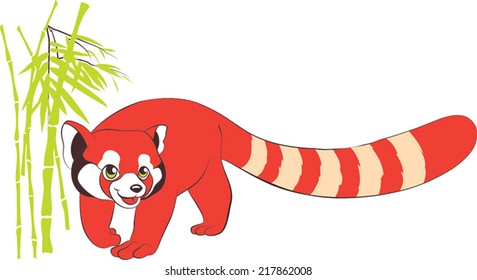 Red panda hiding in bamboo wood