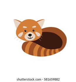 Red Panda isolated on white background