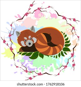 Red panda lies on the leaves. A small panda against the background of colored spots in a watercolor style, surrounded by sakura branches. Hand drawn vector illustration.