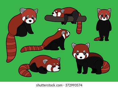 Red Panda Poses Stroke Cartoon Vector Illustration