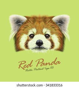 Red panda rare animal cute face. Vector Asian, Chinese funny red cat bear head portrait. Realistic fur portrait of bamboo Red Panda Ailurus fulgens animal isolated on green background.