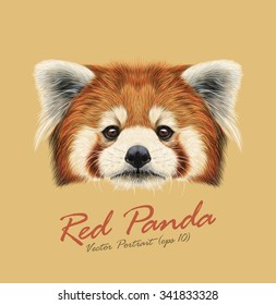 Red panda rare animal cute face. Vector Asian, Chinese funny red cat bear head portrait. Realistic fur portrait of bamboo Red Panda Ailurus fulgens animal isolated on tan background.