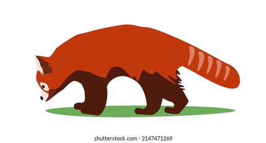 Red Panda Rare Animal Side View, Bear Cat Stay And Sniff Vector Illustration