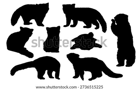 Red panda silhouette set. Lesser panda. Realistic vector animal