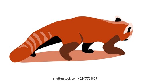 Red Panda Sneaking Side View, Bear Cat Flat Vector Illustration