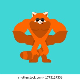 Red panda Strong Cool serious. beast strict. Vector illustration