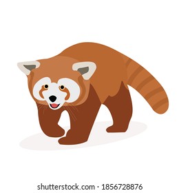 Red panda vector design, image by Steemit.com