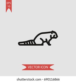 Red panda vector icon, illustration symbol