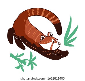 Red panda vector illustration. Сute drawing of Ailurus fulgens with green plants.