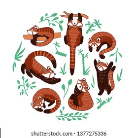 Red panda vector illustration. Set of cute drawings of Ailurus fulgens playing in different poses in circle composition with green plants.