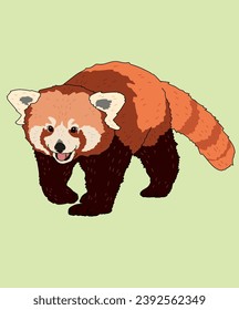 Red Panda Walking Side View