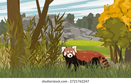 A red panda walks through the grass in a mountain valley. Lesser panda from the eastern Himalayas and southwestern China. Realistic vector landscape.