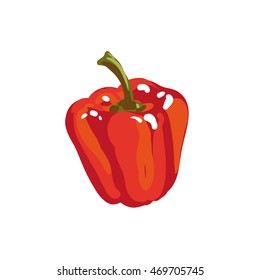 Red paprika bell pepper. Fresh vegetable. Vector Illustration. Isolated on white.