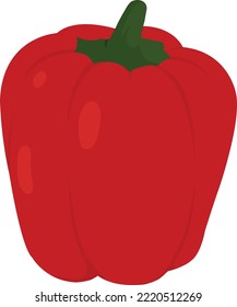 a red paprika illustration vector