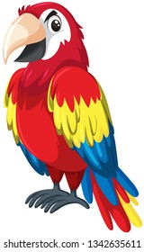 A red parrot character illustration