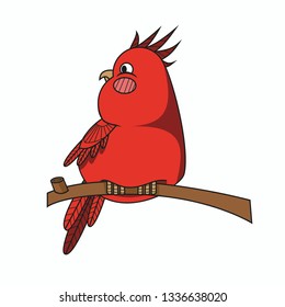 red parrot illustration
