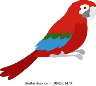 Red parrot, illustration, vector on white background