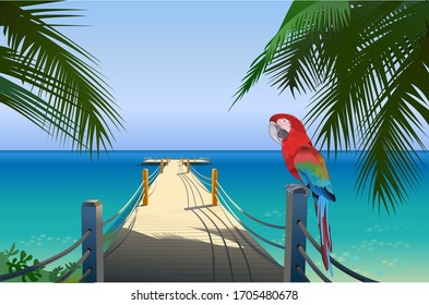 Red parrot macaw. Tropic yacht pier