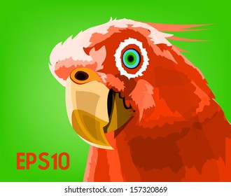 red parrot on a green background