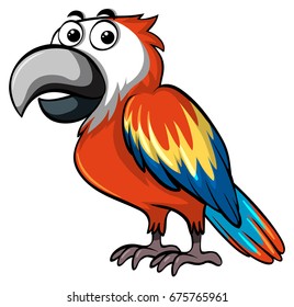 Tingang Bird Vector Burung Enggang Stock Vector (Royalty Free ...