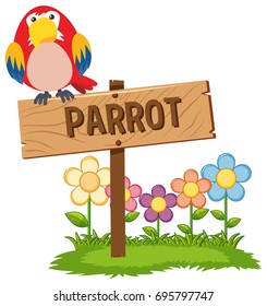 Red parrot on wooden sign illustration