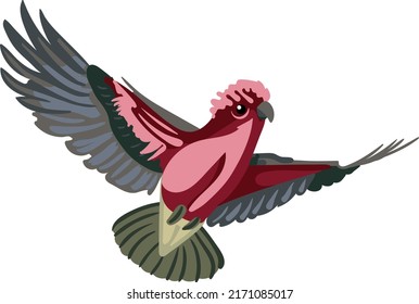 Red parrot. T-shirt print. Wildlife. Vector. Illustration