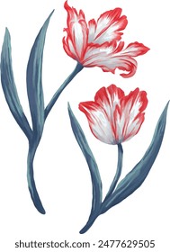 Red parrot tulips digital painting illustration