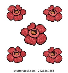 Red Pattern padma corpse Monster Big Flower Indonesia Malaysia Rafflesia arnoldii Background vector modern illustration