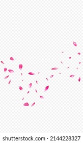 Red Peach Beauty Vector Transparent Background. Falling Cherry Template. Beautiful Sakura Japan Design. Pink Floral Blur Poster.