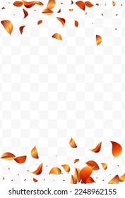 Red Peach Beauty Vector Transparent Background. Japan Cherry Template. Pink Sakura Japanese Design. Beautiful Flower Summer Cover.