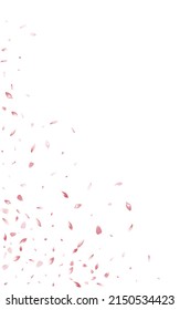 Red Peach Beauty Vector White Background. Falling Lotus Illustration. Beautiful Rose Japan Banner. Pink Sakura Fly Frame.