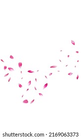Red Peach Beauty Vector White Background. Blur Rose Design. Pink Cherry Japan Poster. Beautiful Floral Fly Template.