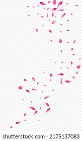 roter Pfirsich unscharfer Vektortransparenter Hintergrund. Zender Rose Rahmen. Pink Floral Falling Illustration. Delikate Blossom Sommerdecke.