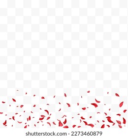 Red Peach Japan Vector Transparent Background. Blur Rose Design. Pink Cherry Tender Wallpaper. Delicate Flower Summer Illustration.