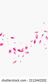Red Peach Japanese Vector Transparent Background. Japan Petal Template. Beautiful Floral Falling Banner. Delicate Lotus Tender Texture.