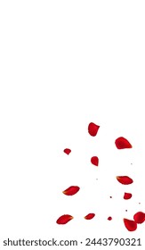 Red Peach Japanese Vector White Background. Spring Flower Poster. Beautiful Petal Fall Wallpaper. Delicate Blossom Fly Design.