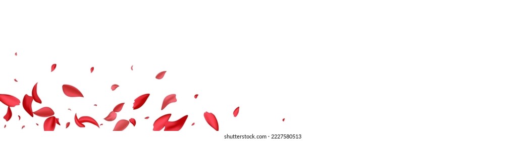Red Peach Spring Vector White Panoramic Background. Blur Petal Cover. Delicate Blossom Summer Wallpaper. Pink Sakura Fall Illustration.