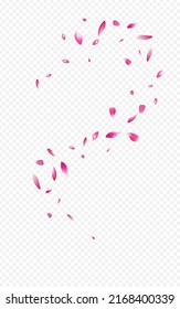 Red Peach Summer Vector Transparent Background. Spring Blossom Frame. Beautiful Floral Falling Wallpaper. Delicate Cherry Japan Pattern.